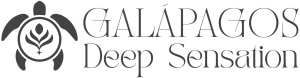 logo-01op-2-gris